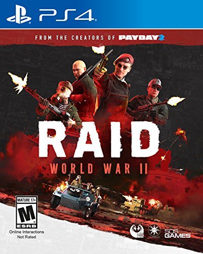 突击：二战.RAID: World War II