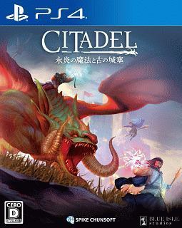 城塞：火焰之炼.Citadel: Forged With Fire