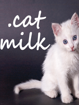 牛奶猫.Cat Milk