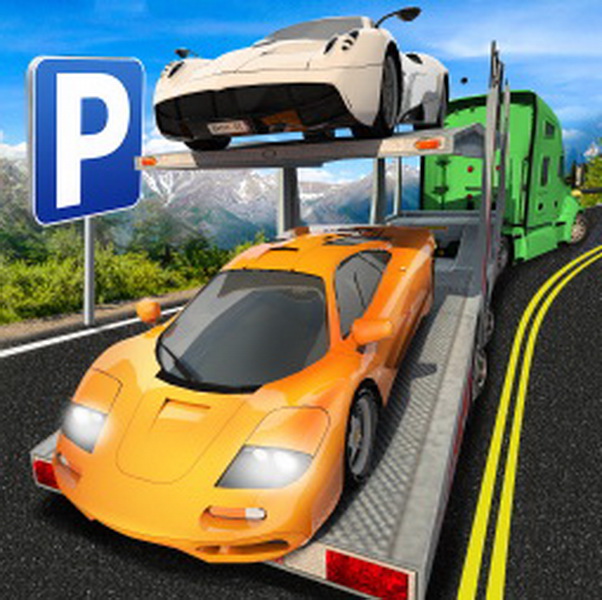 汽车经销商驾驶员.Car Dealer Driver