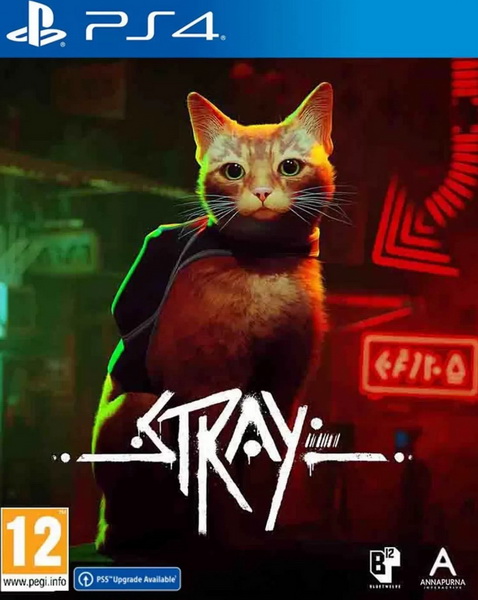 流浪猫.Stray