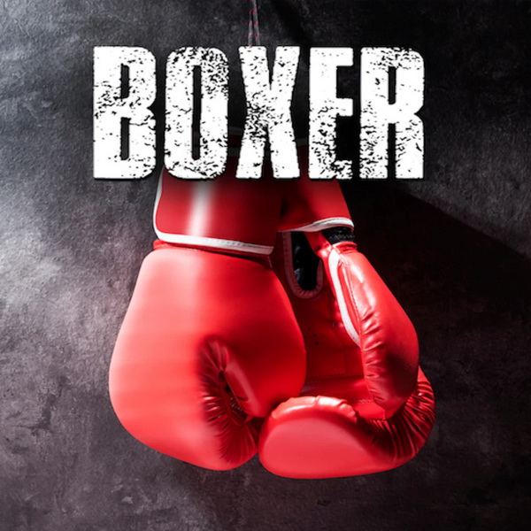 拳击手.Boxer