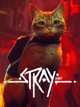 流浪猫.Stray