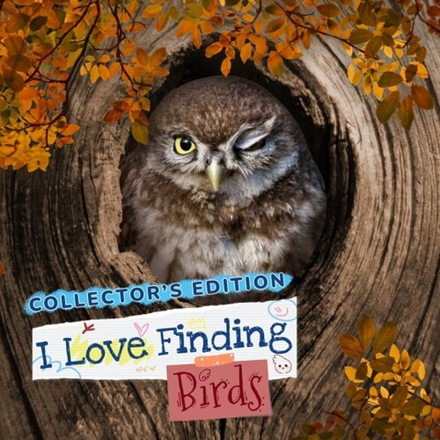 我热衷于找鸟：收藏版.I Love Finding Birds Collector’s Edition