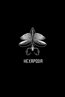 Hexapoda