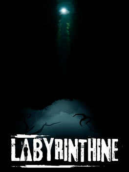 迷宫探险.Labyrinthine