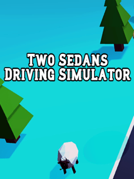 Two Sedans Driving Simualtor