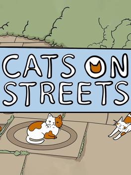 街上的猫.Cats on Streets
