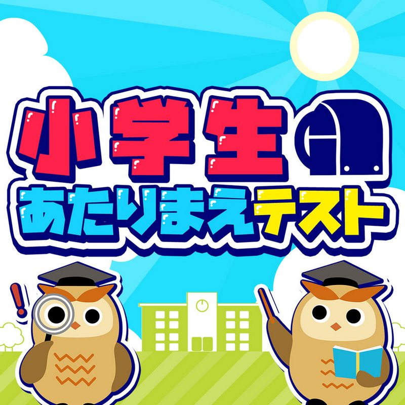 Elementary School Student Ordinary Test