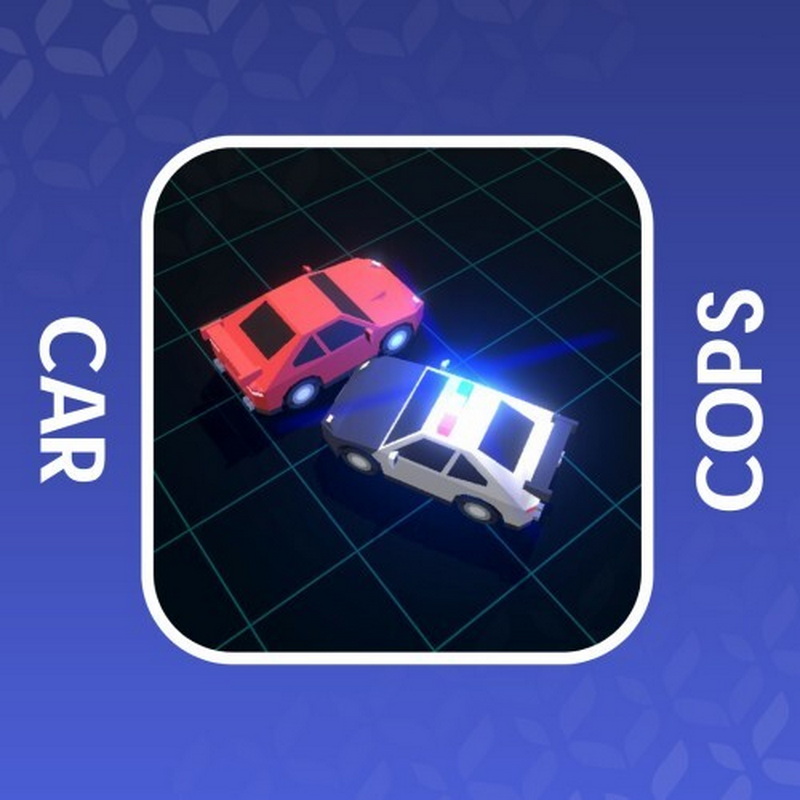 Car VS Cops