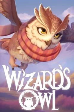 Wizards Owl: Magic Delivery