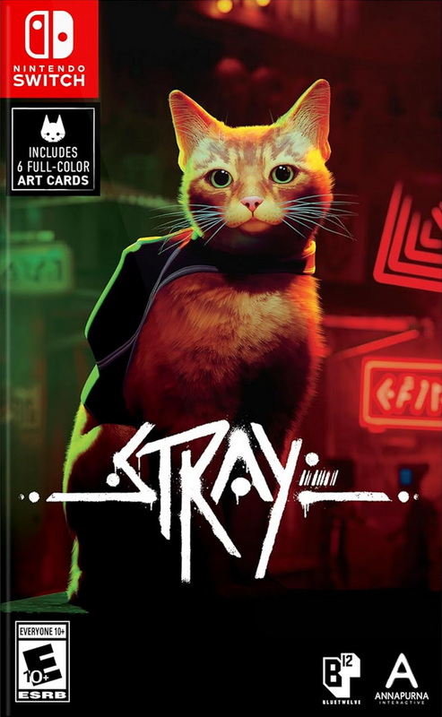 流浪猫.Stray
