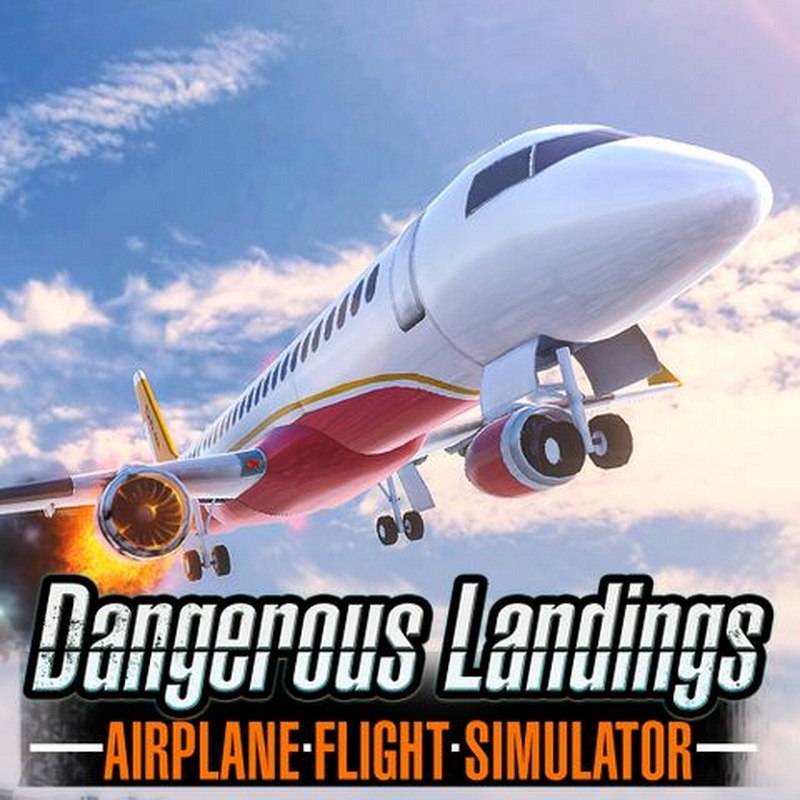 飞机飞行模拟器：危险降落.Airplane Flight Simulator : Dangerous Landings