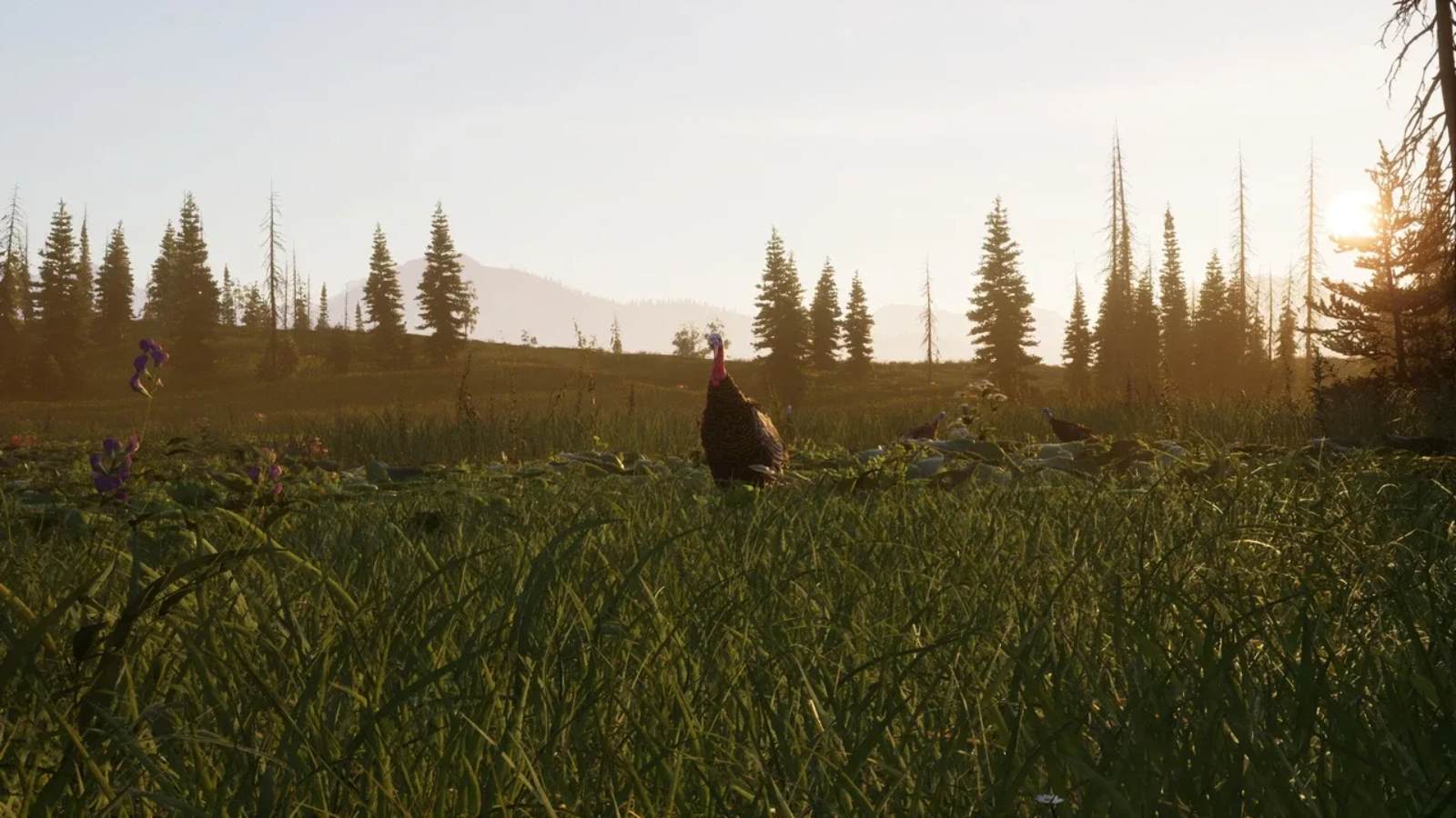 猎人之路2.Way of the Hunter 2_1