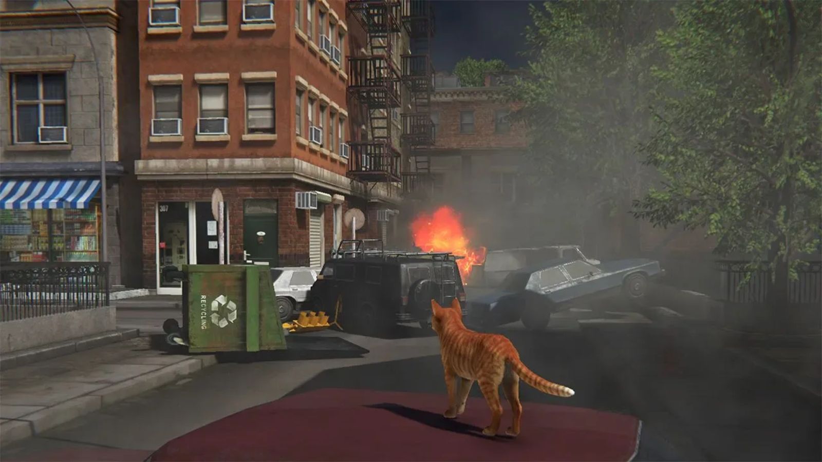 小猫大营救2.Little Strays 2_1