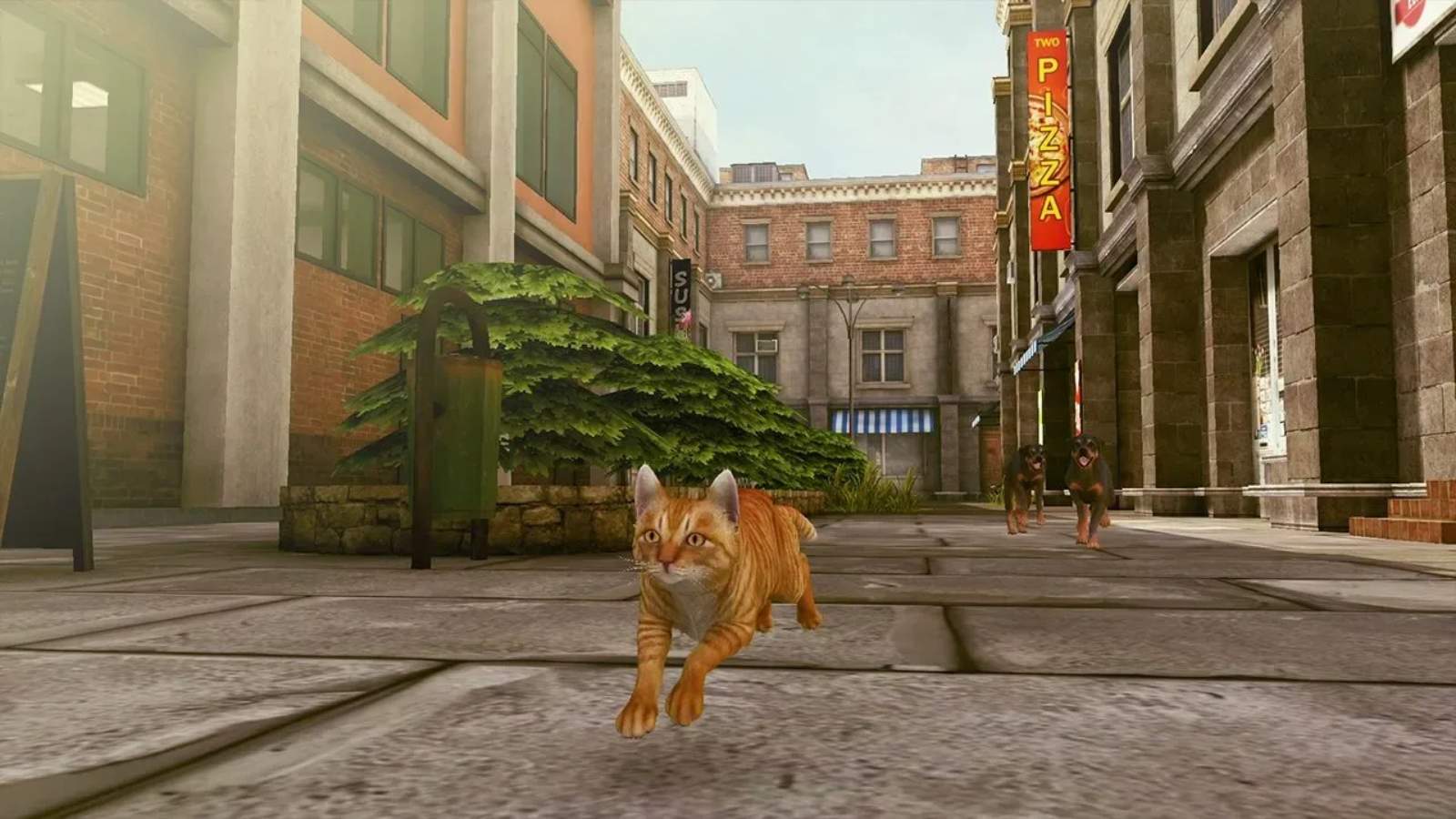 小猫大营救2.Little Strays 2_2