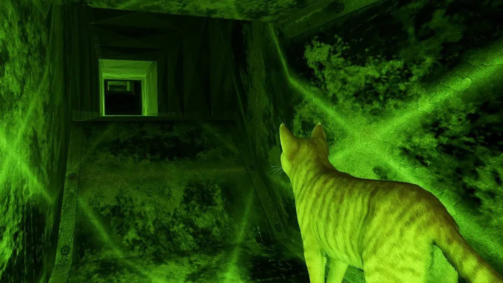 小猫大营救2.Little Strays 2_4