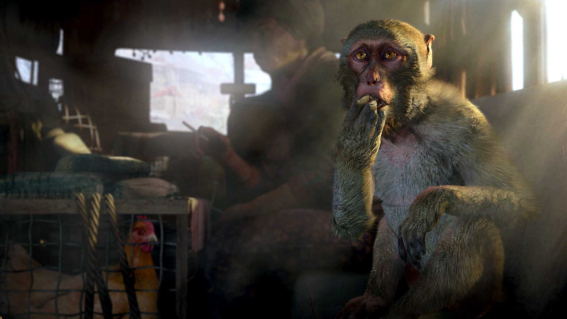孤岛惊魂4.Far Cry 4_6