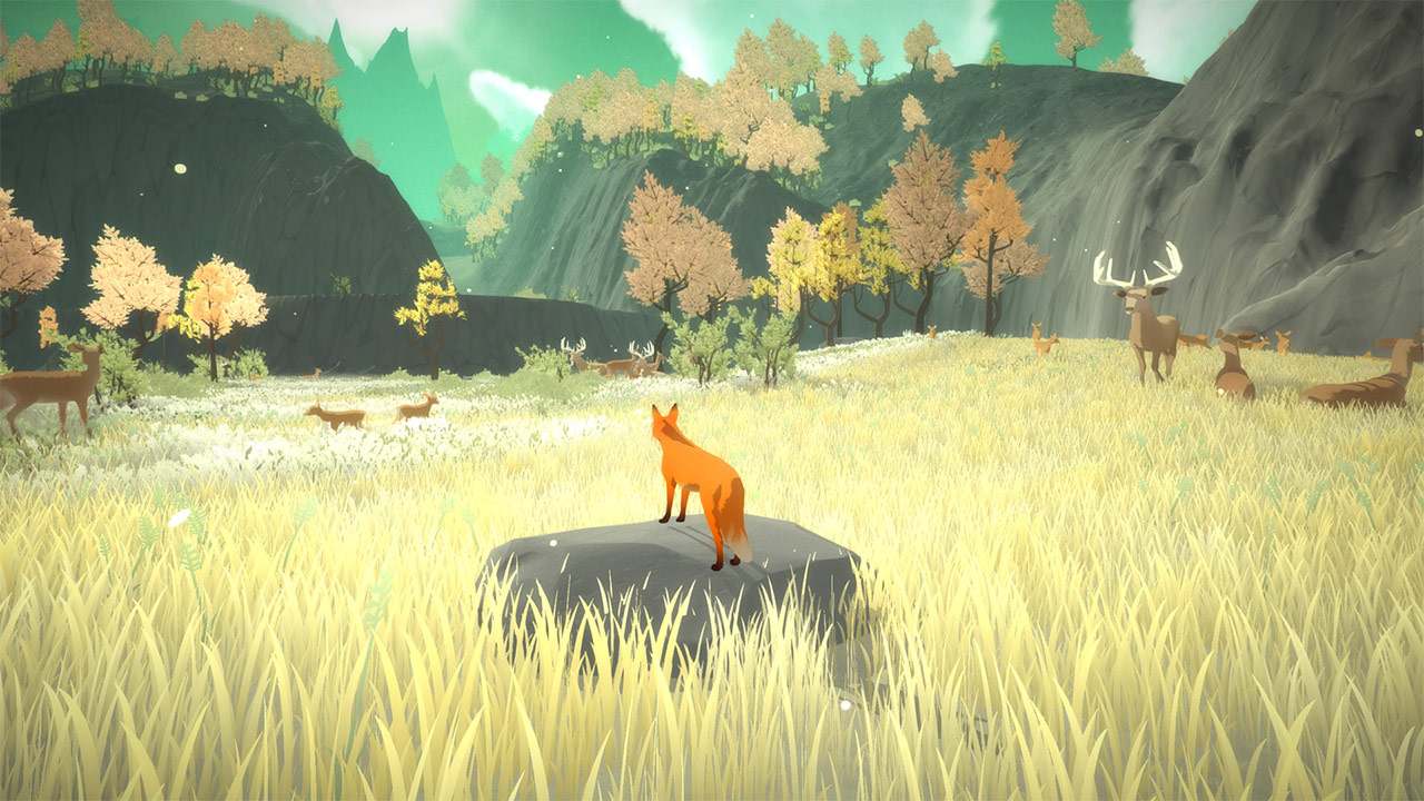 第一棵树.The First Tree_4