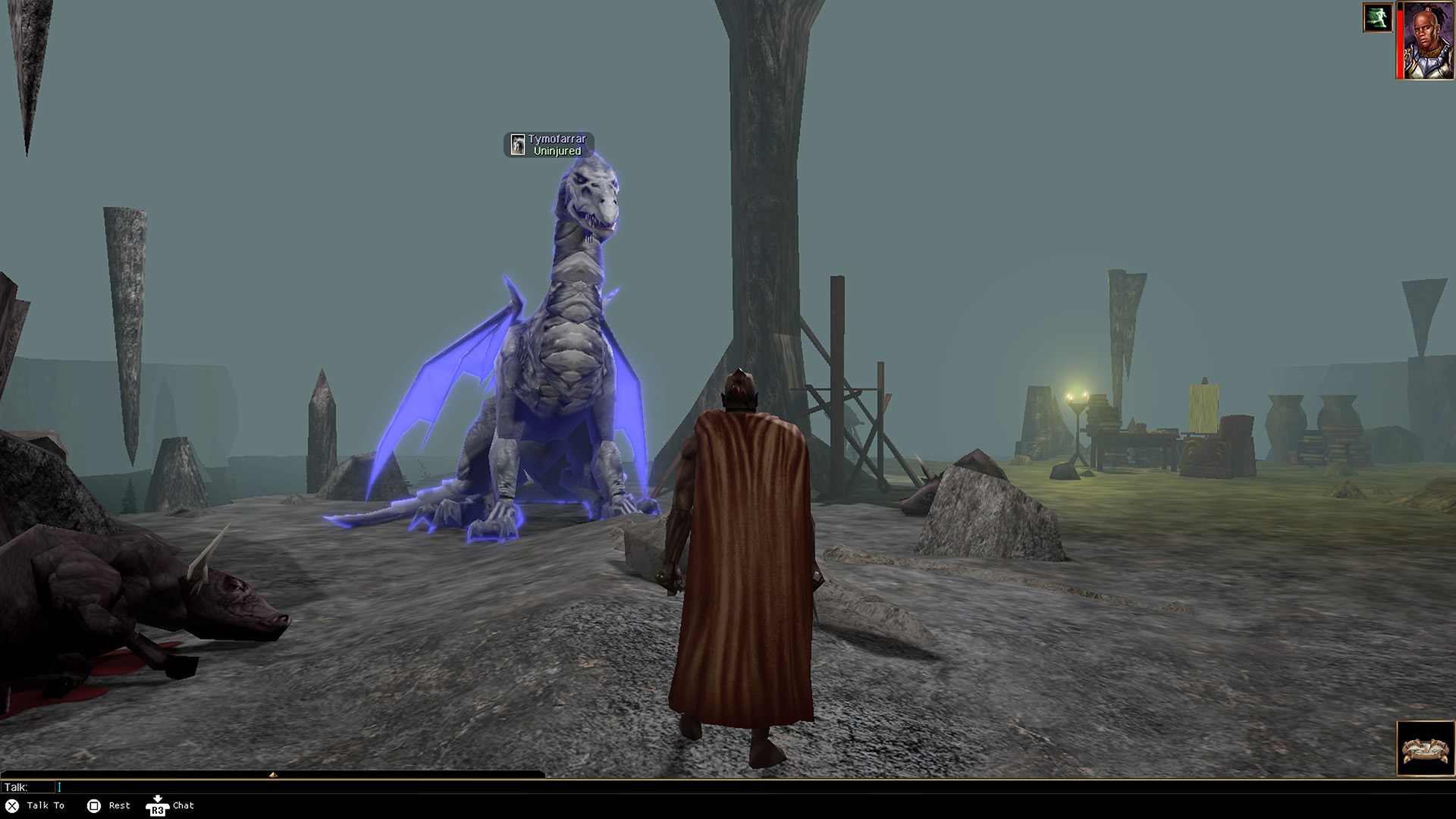 无冬之夜：增强版.Neverwinter Nights: Enhanced Edition_1