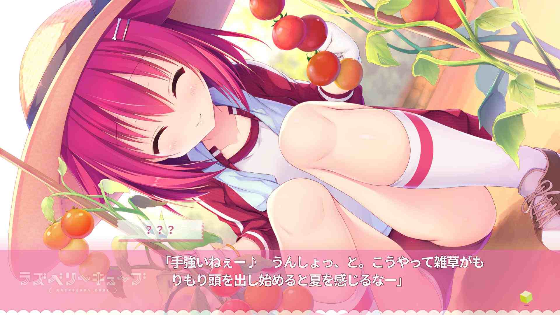 树莓立方体.Raspberry Cube_1
