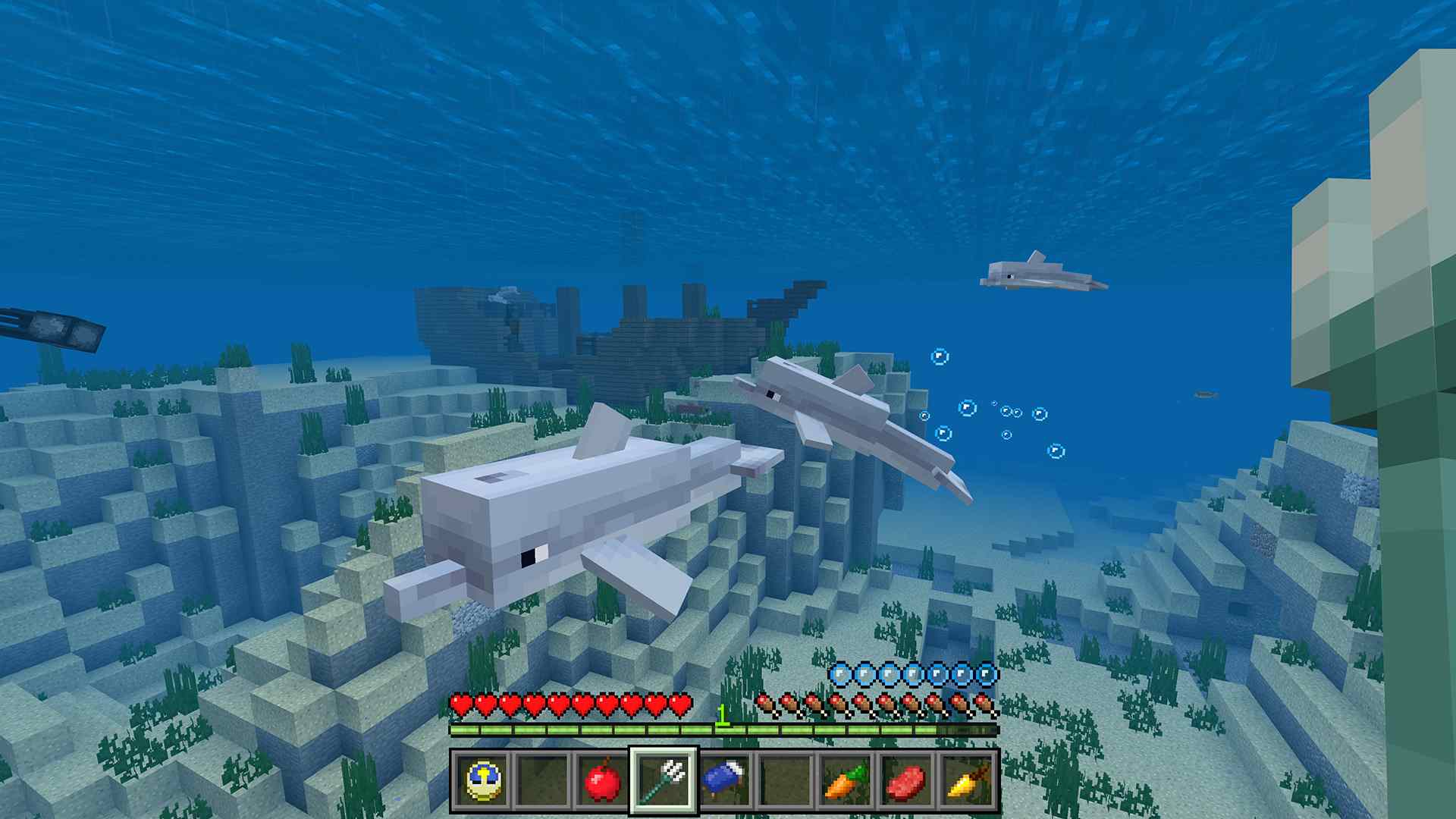 我的世界：基石版.Minecraft：Bedrock Edition_4
