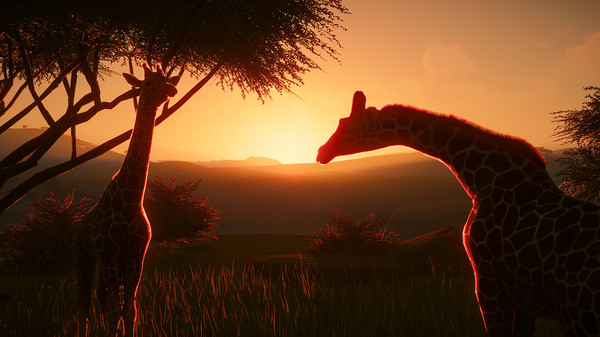 动物园之星.Planet Zoo_3