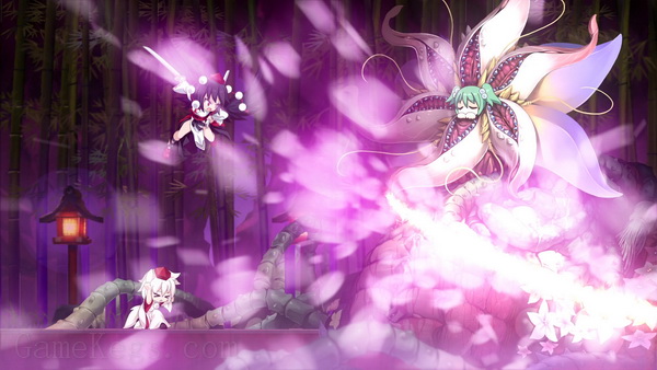 不可思议的幻想乡 TOD 重载.Touhou Genso Wanderer Reloaded_3