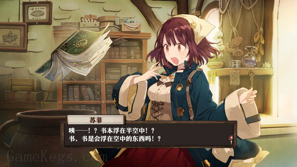 苏菲的炼金工房 ～不可思议书的炼金术士～ DX.Atelier Sophie: The Alchemist of the Mysterious Book DX_3