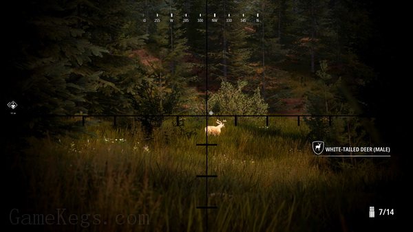 模拟狩猎2.Hunting Simulator 2_3