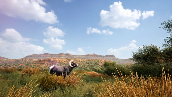 模拟狩猎2.Hunting Simulator 2_4