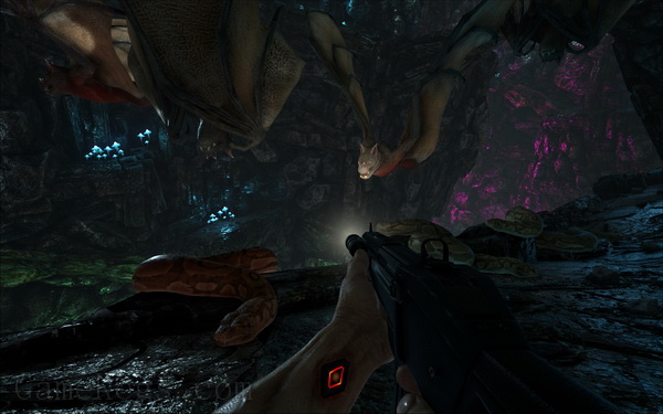 方舟：生存进化.ARK: Survival Evolved_2