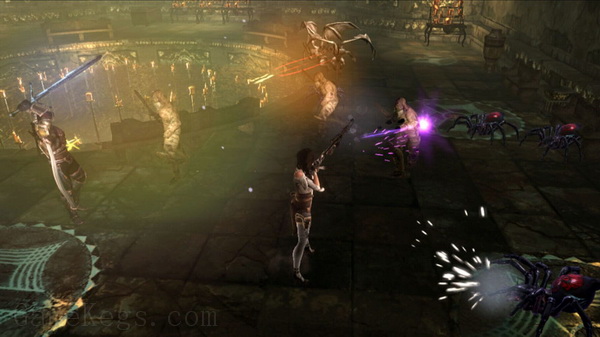 地牢围攻3：太阳的宝藏.Dungeon Siege III: Treasures of the Sun_0