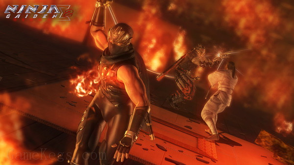 忍者龙剑传：大师收藏版.Ninja Gaiden: Master Collection_2