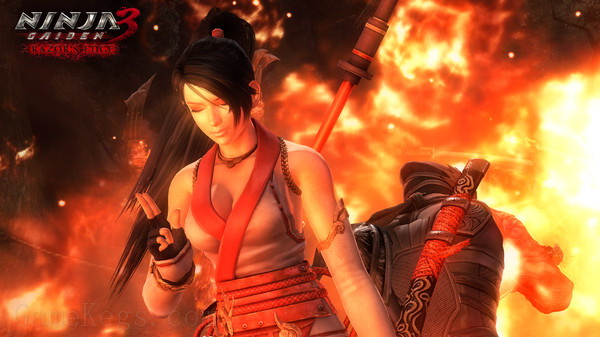 忍者龙剑传：大师收藏版.Ninja Gaiden: Master Collection_5