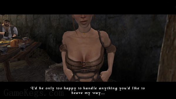 新冰城传奇：重制版.The Bard’s Tale Remastered & Resnarkled_0