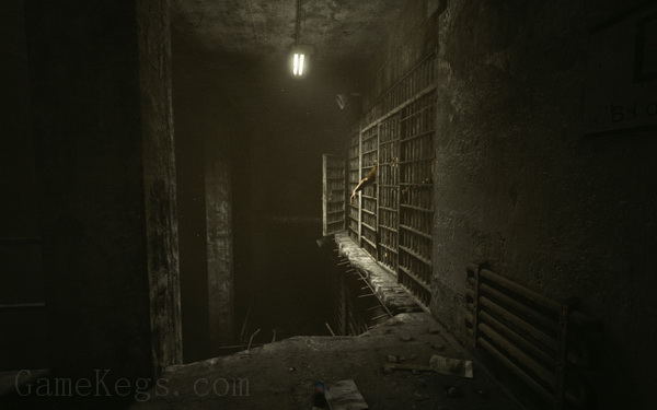 逃生.Outlast_0