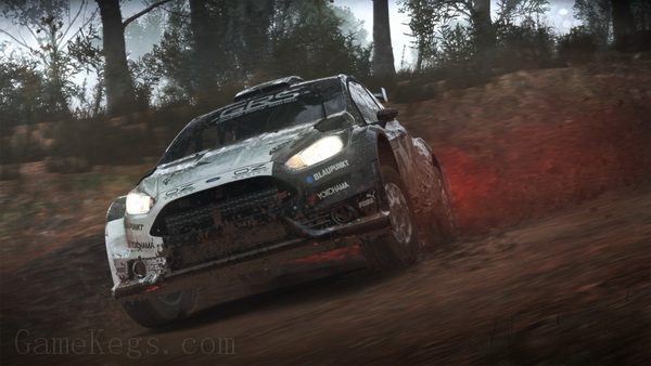 尘埃4.DiRT 4_2