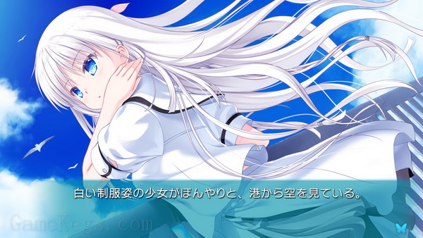 夏日搜集 流光蓝.Summer Pockets REFLECTION BLUE_0