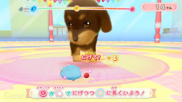 汪喵宠物店：每天与可爱的宠物互动.Wan Nyan Pet Shop: Kawaii Pet to Fureau Mainichi_3