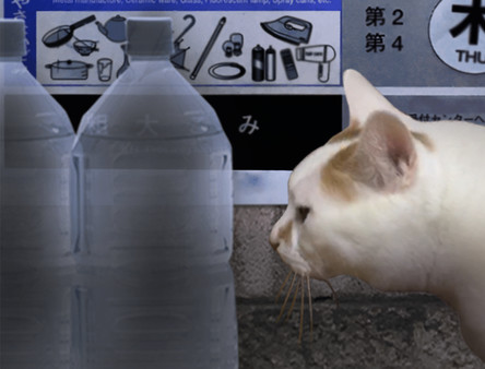翌日.Tsugunohi_5
