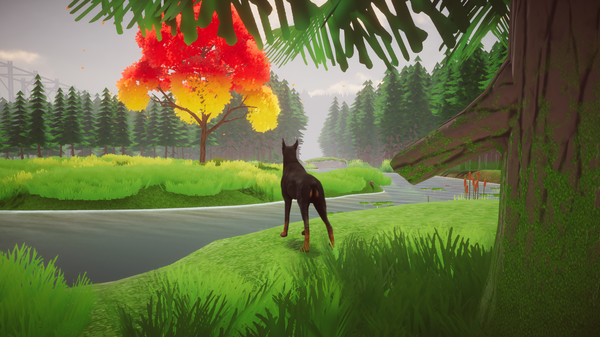 Django_0
