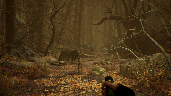 布莱尔女巫：虚拟现实版.Blair Witch VR Edition_2