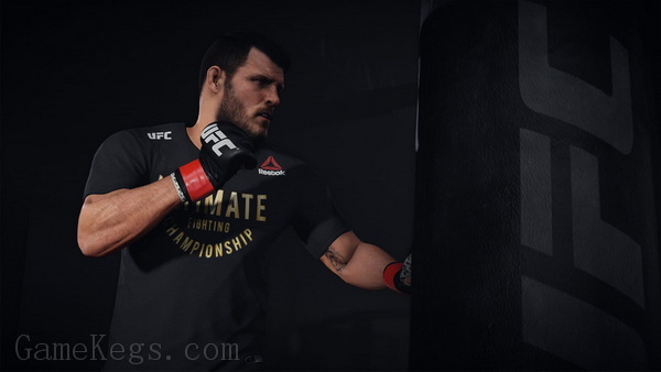 EA UFC 终极格斗冠军赛3.EA Sports UFC 3_0