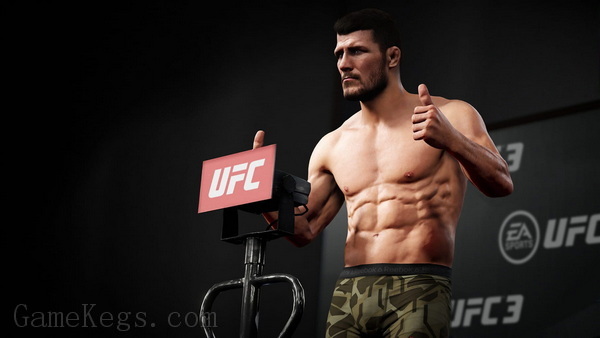 EA UFC 终极格斗冠军赛3.EA Sports UFC 3_2