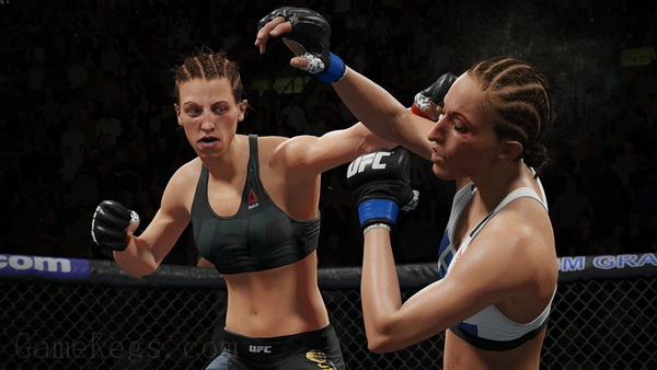 EA UFC 终极格斗冠军赛2.EA Sports UFC 2_0