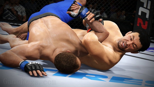 EA UFC 终极格斗冠军赛2.EA Sports UFC 2_2