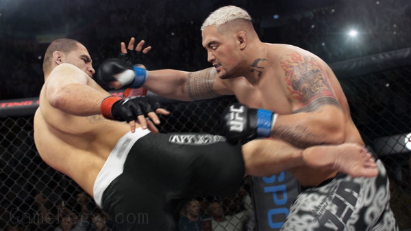 EA UFC 终极格斗冠军赛.EA Sports UFC_2