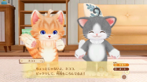 Neko Tomo: Smile Mashimashi_0