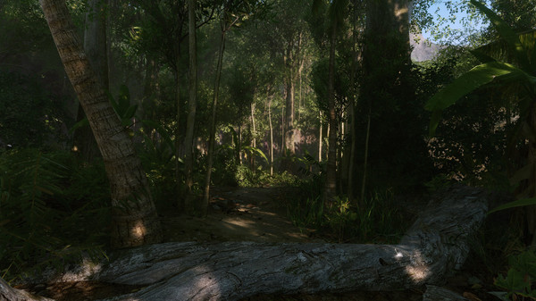 孤岛危机：重制版.Crysis Remastered_3